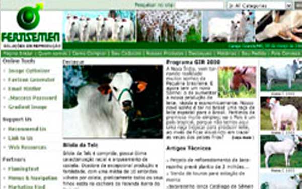 portfolio - sites desenvolvidos por Updev
